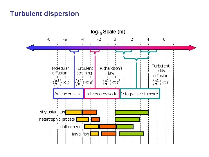Turbulent dispersion log 10 Scale (m) -4 Molecular diffusion -2 Turbulent straining Batchelor scale