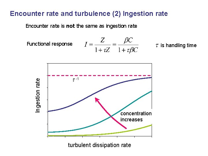Encounter rate and turbulence (2) Ingestion rate Encounter rate is not the same as