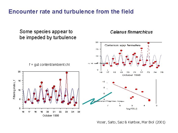Encounter rate and turbulence from the field Some species appear to be impeded by