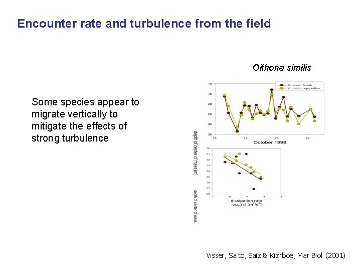 Encounter rate and turbulence from the field Oithona similis Some species appear to migrate