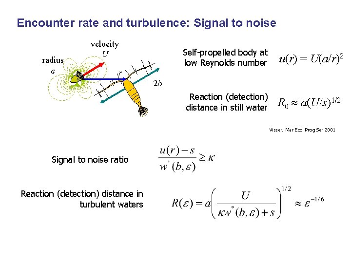 Encounter rate and turbulence: Signal to noise radius a velocity U Self-propelled body at