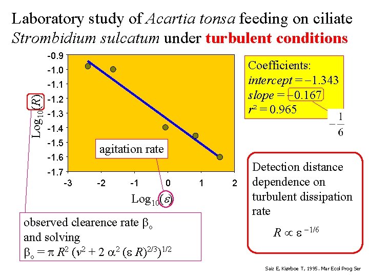 Laboratory study of Acartia tonsa feeding on ciliate Strombidium sulcatum under turbulent conditions -0.