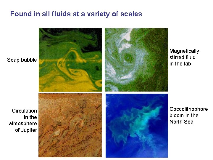 Found in all fluids at a variety of scales Soap bubble Circulation in the