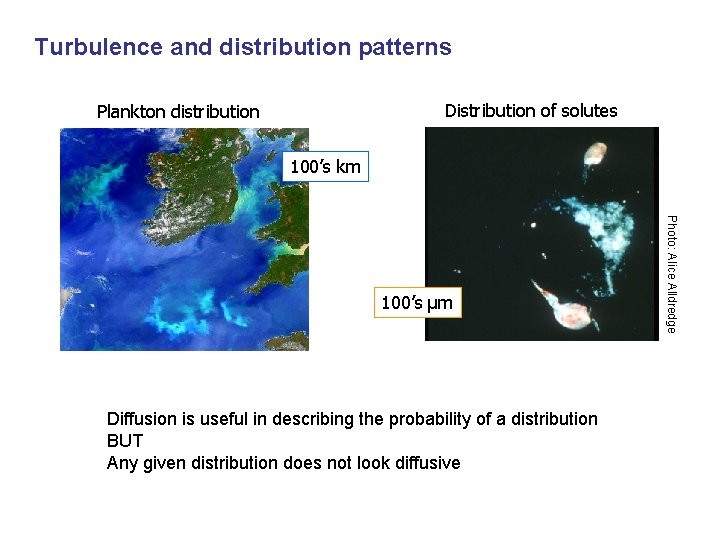 Turbulence and distribution patterns Distribution of solutes Plankton distribution 100’s km Diffusion is useful