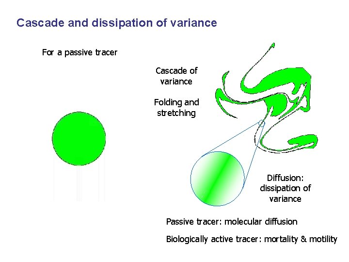 Cascade and dissipation of variance For a passive tracer Cascade of variance Folding and