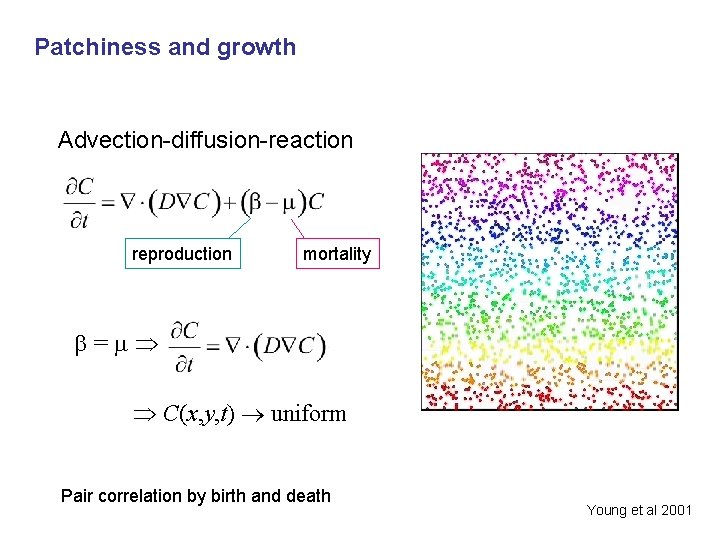 Patchiness and growth Advection-diffusion-reaction reproduction mortality b=m C(x, y, t) uniform Pair correlation by