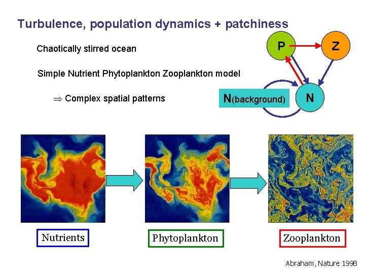 Turbulence, population dynamics + patchiness P Chaotically stirred ocean Z Simple Nutrient Phytoplankton Zooplankton