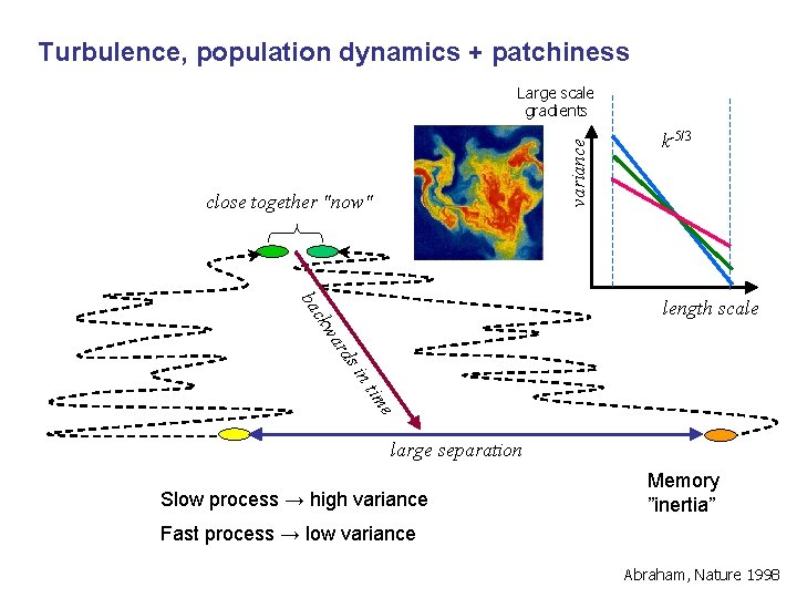 Turbulence, population dynamics + patchiness variance Large scale gradients close together "now" k-5/3 ds