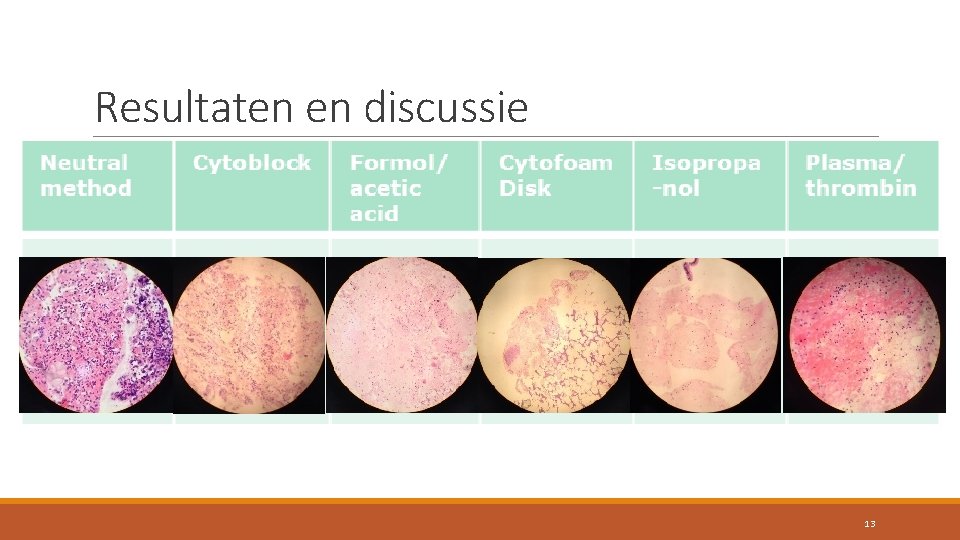 Resultaten en discussie 13 