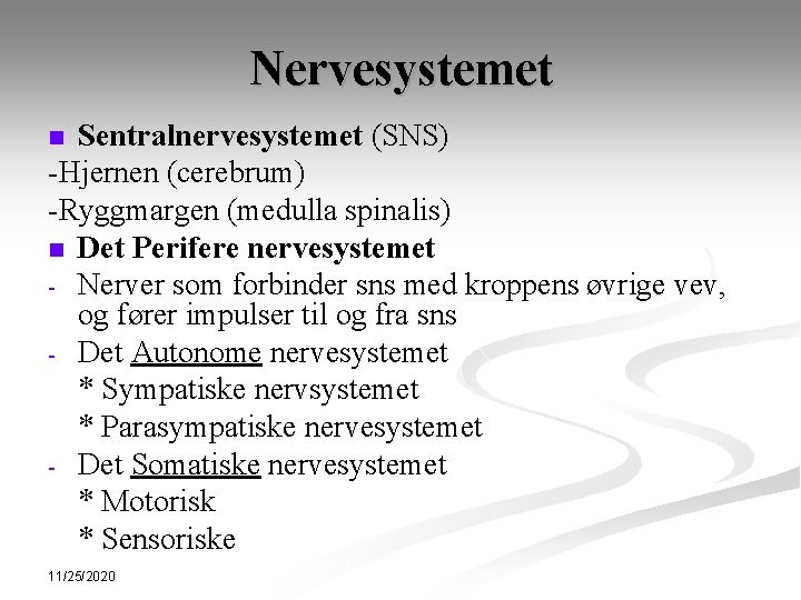 Nervesystemet Sentralnervesystemet (SNS) -Hjernen (cerebrum) -Ryggmargen (medulla spinalis) n Det Perifere nervesystemet - Nerver