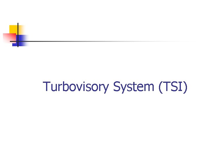 Turbovisory System (TSI) 