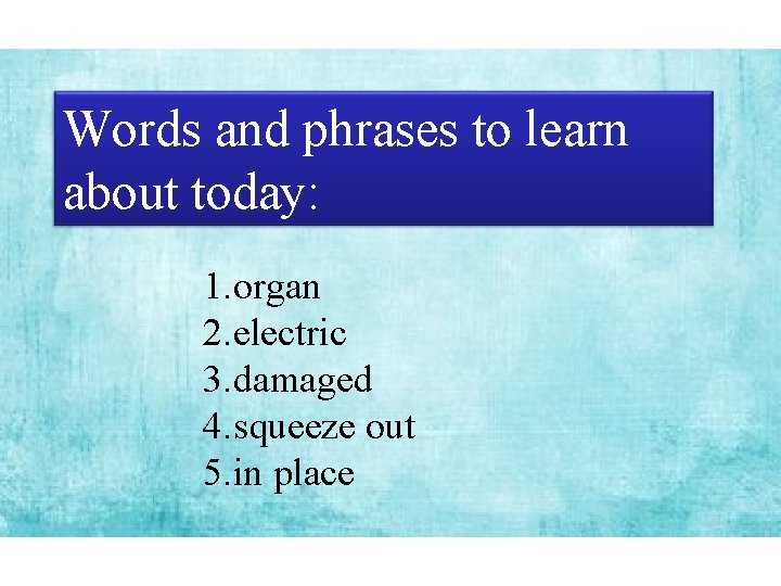 Words and phrases to learn about today: 1. organ 2. electric 3. damaged 4.
