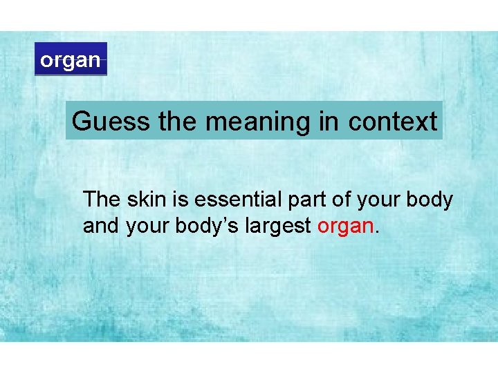 organ Guess the meaning in context The skin is essential part of your body