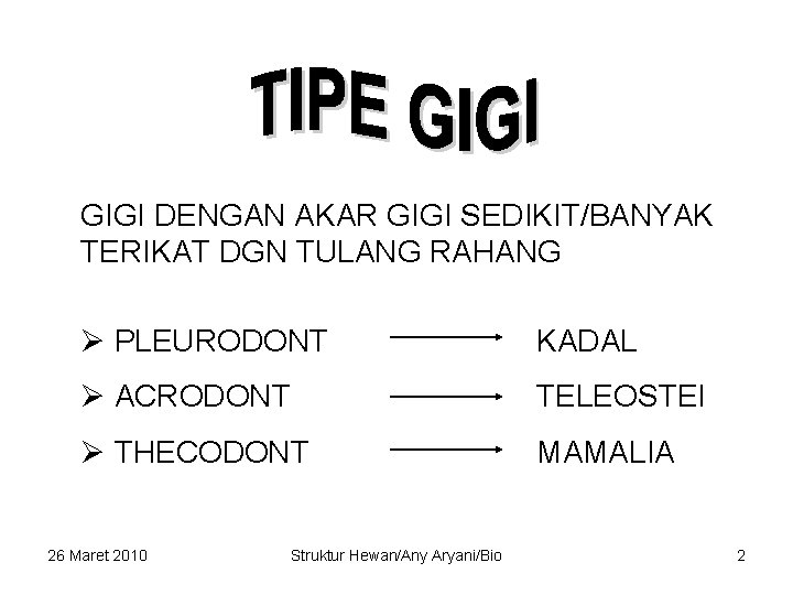 GIGI DENGAN AKAR GIGI SEDIKIT/BANYAK TERIKAT DGN TULANG RAHANG Ø PLEURODONT KADAL Ø ACRODONT