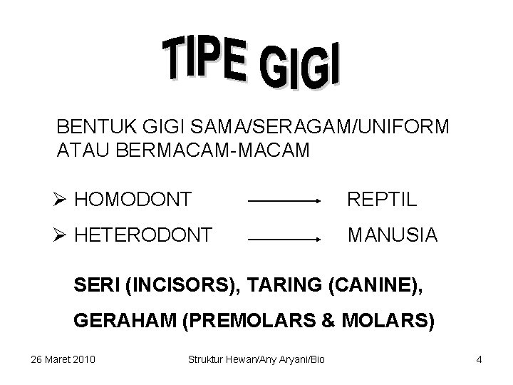 BENTUK GIGI SAMA/SERAGAM/UNIFORM ATAU BERMACAM-MACAM Ø HOMODONT REPTIL Ø HETERODONT MANUSIA SERI (INCISORS), TARING