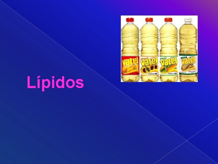 Lípidos 