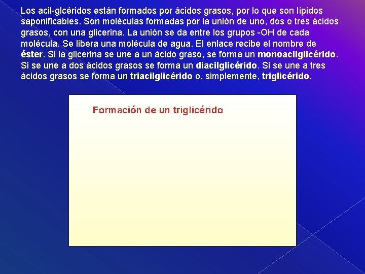 Los acil-glcéridos están formados por ácidos grasos, por lo que son lípidos saponificables. Son