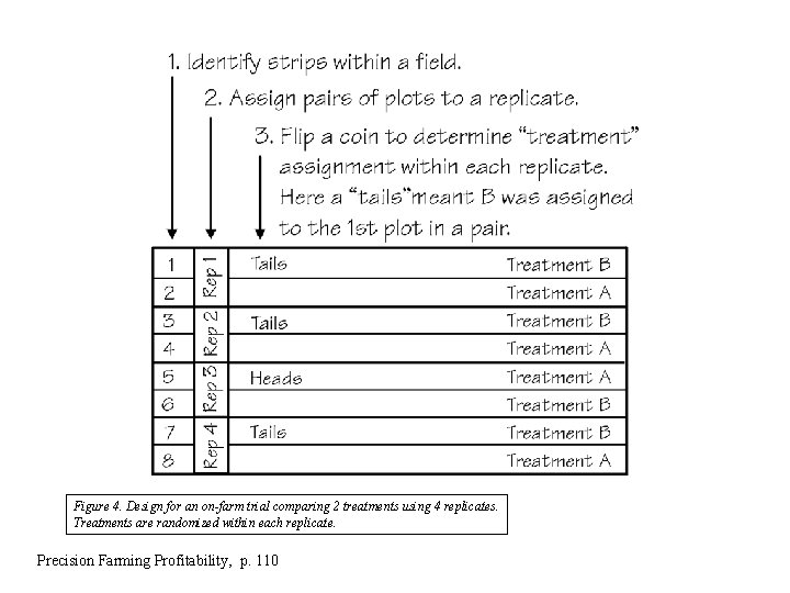 Figure 4. Design for an on-farm trial comparing 2 treatments using 4 replicates. Treatments