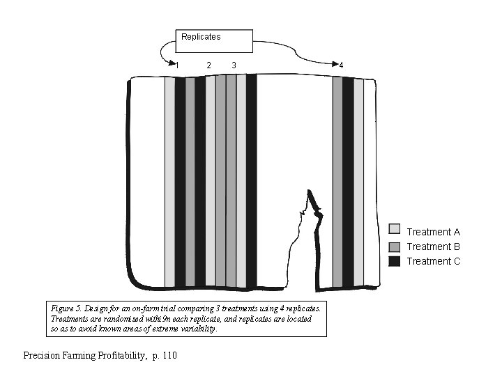 Replicates 1 2 3 4 1 Treatment A Treatment B Treatment C Figure 5.