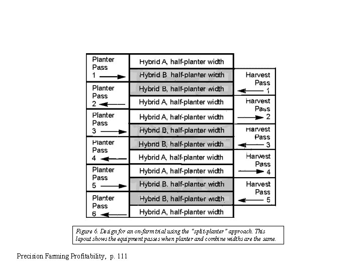 Figure 6. Design for an on-farm trial using the “split-planter” approach. This layout shows