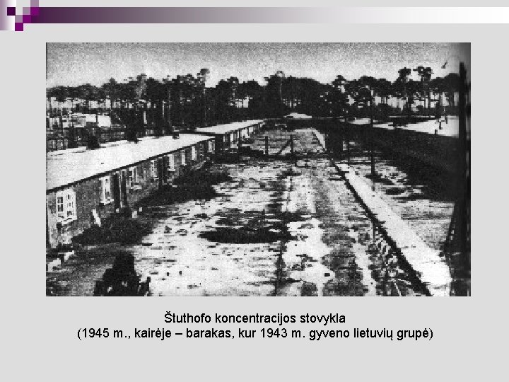 Štuthofo koncentracijos stovykla (1945 m. , kairėje – barakas, kur 1943 m. gyveno lietuvių