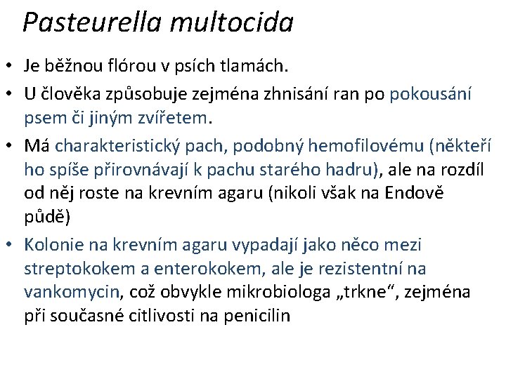 Pasteurella multocida • Je běžnou flórou v psích tlamách. • U člověka způsobuje zejména