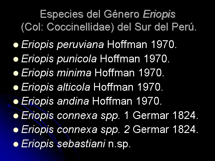 Especies del Género Eriopis (Col: Coccinellidae) del Sur del Perú. l Eriopis peruviana Hoffman