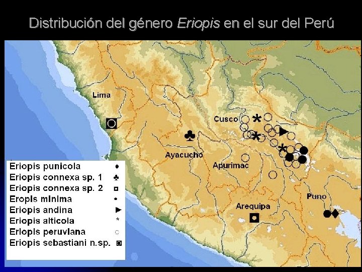 Distribución del género Eriopis en el sur del Perú 