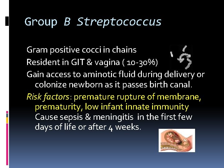 Group B Streptococcus Gram positive cocci in chains Resident in GIT & vagina (