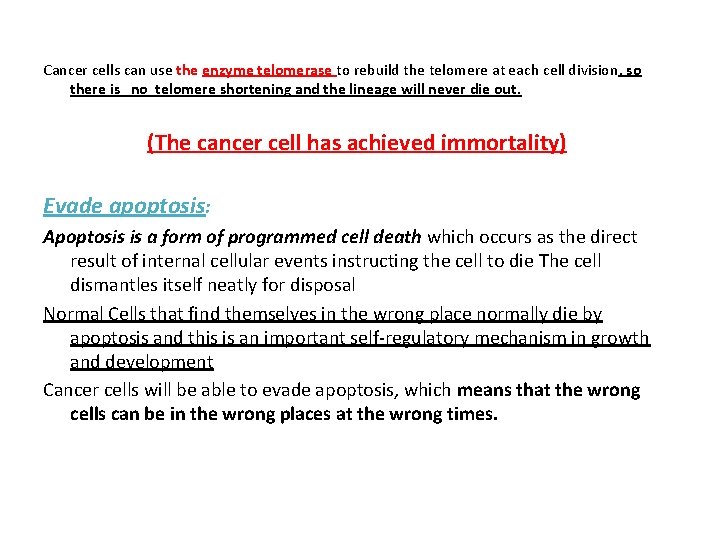 Cancer cells can use the enzyme telomerase to rebuild the telomere at each cell