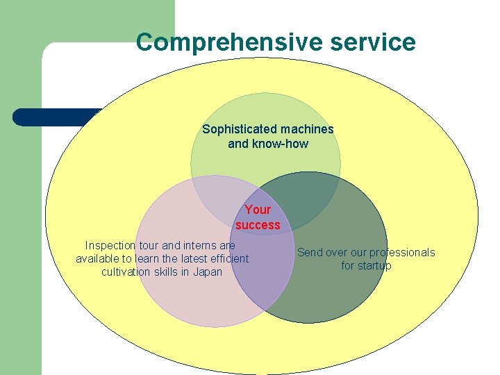 Comprehensive service Sophisticated machines and know-how Your success Inspection tour and interns are available