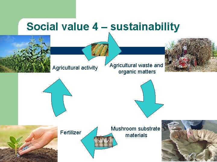 Social value 4 – sustainability Agricultural activity Fertilizer Agricultural waste and organic matters Mushroom