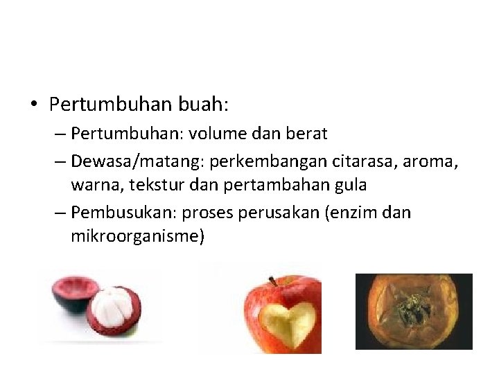  • Pertumbuhan buah: – Pertumbuhan: volume dan berat – Dewasa/matang: perkembangan citarasa, aroma,