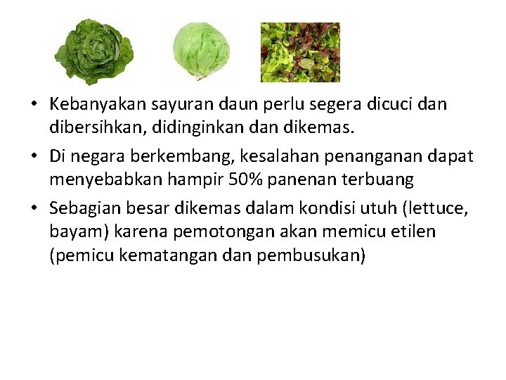  • Kebanyakan sayuran daun perlu segera dicuci dan dibersihkan, didinginkan dikemas. • Di