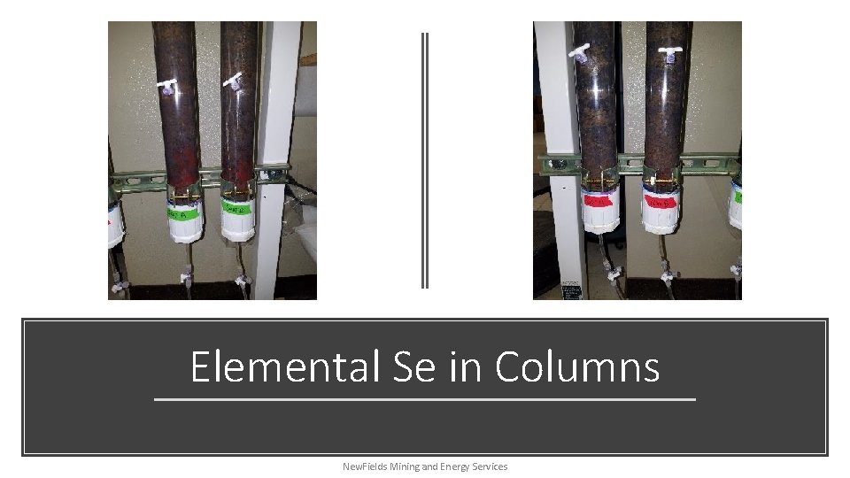 Elemental Se in Columns New. Fields Mining and Energy Services 