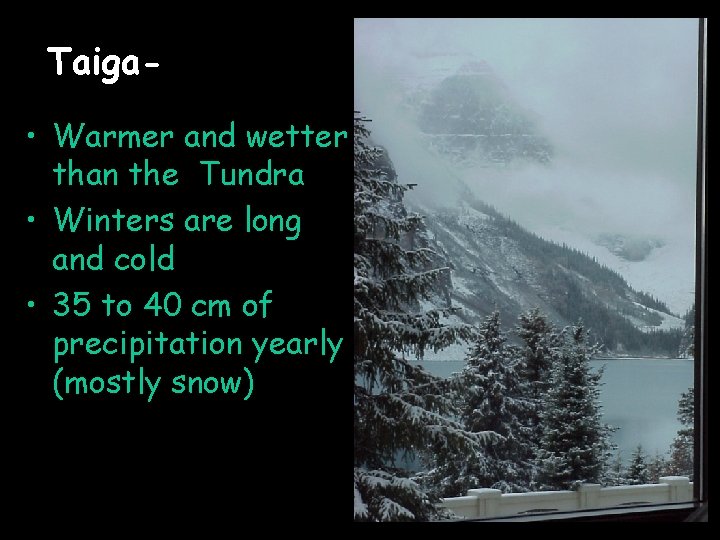 Taiga • Warmer and wetter than the Tundra • Winters are long and cold