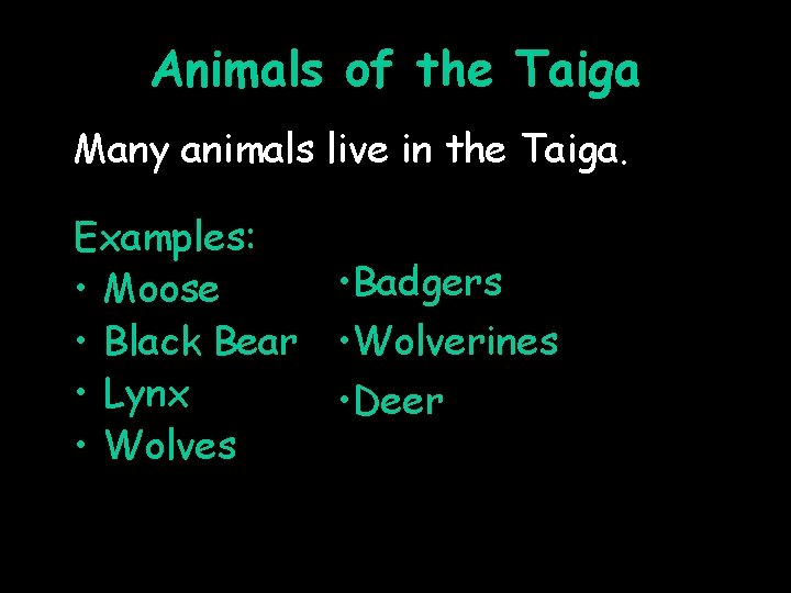 Animals of the Taiga Many animals live in the Taiga. Examples: • Badgers •