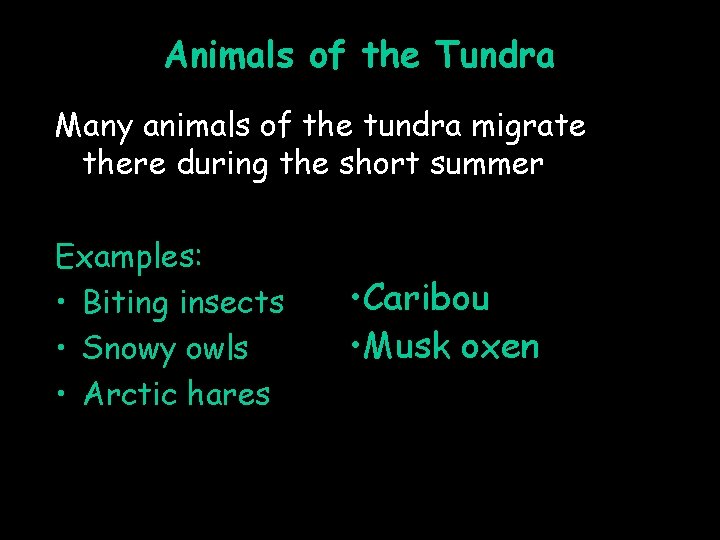 Animals of the Tundra Many animals of the tundra migrate there during the short