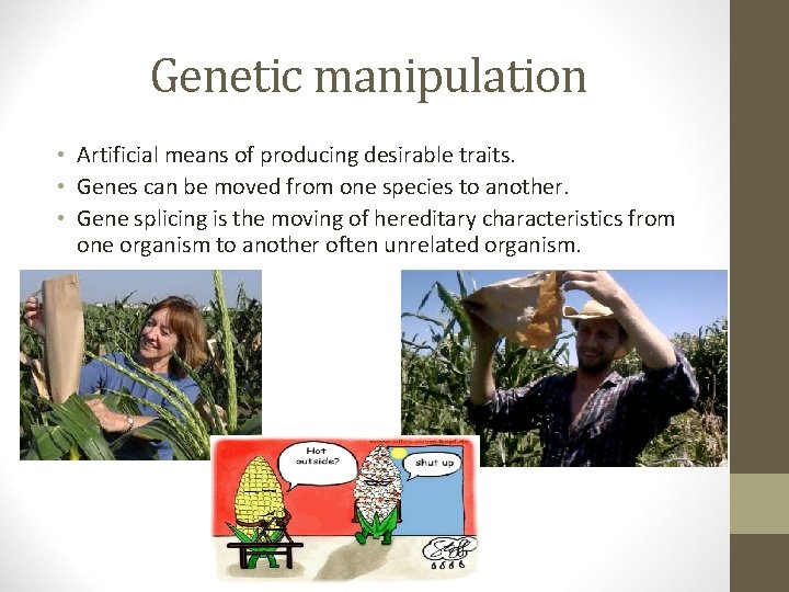 Genetic manipulation • Artificial means of producing desirable traits. • Genes can be moved