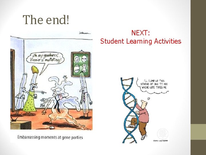 The end! NEXT: Student Learning Activities 