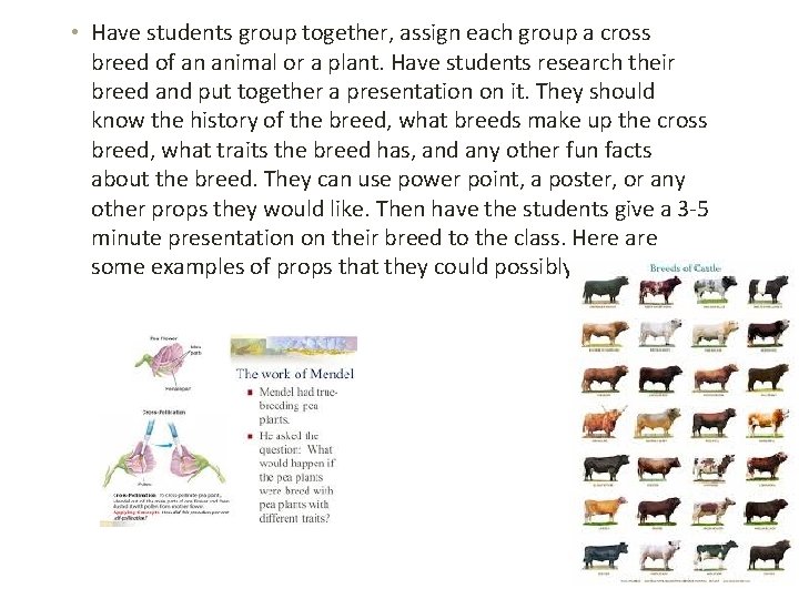  • Have students group together, assign each group a cross breed of an