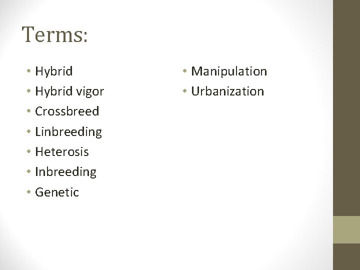 Terms: • Hybrid vigor • Crossbreed • Linbreeding • Heterosis • Inbreeding • Genetic