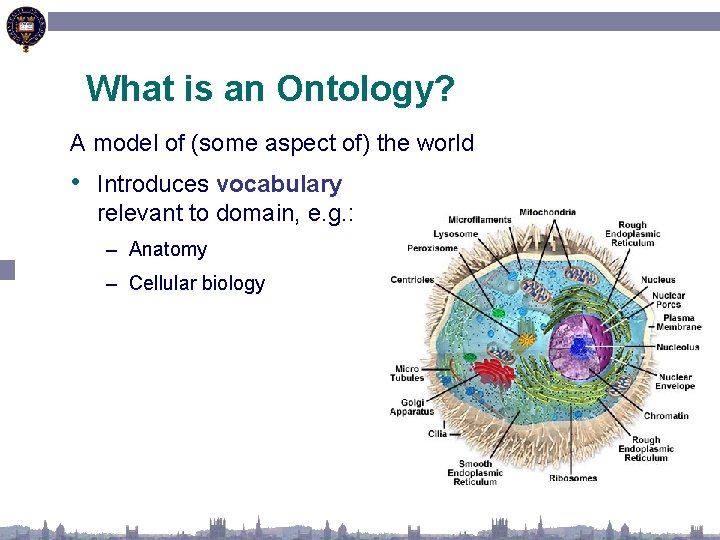 What is an Ontology? A model of (some aspect of) the world • Introduces