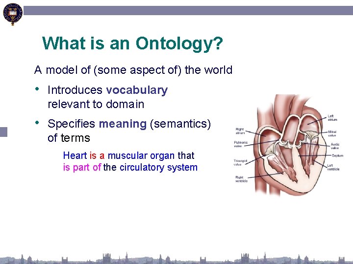 What is an Ontology? A model of (some aspect of) the world • Introduces