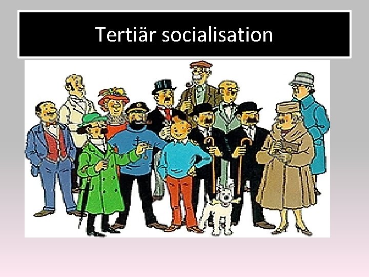 Tertiär socialisation 