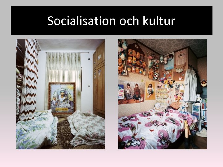 Socialisation och kultur 