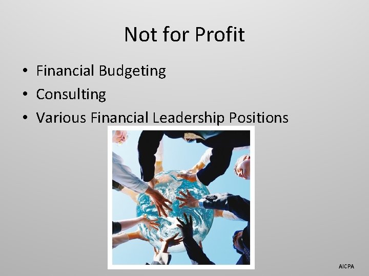 Not for Profit • Financial Budgeting • Consulting • Various Financial Leadership Positions AICPA