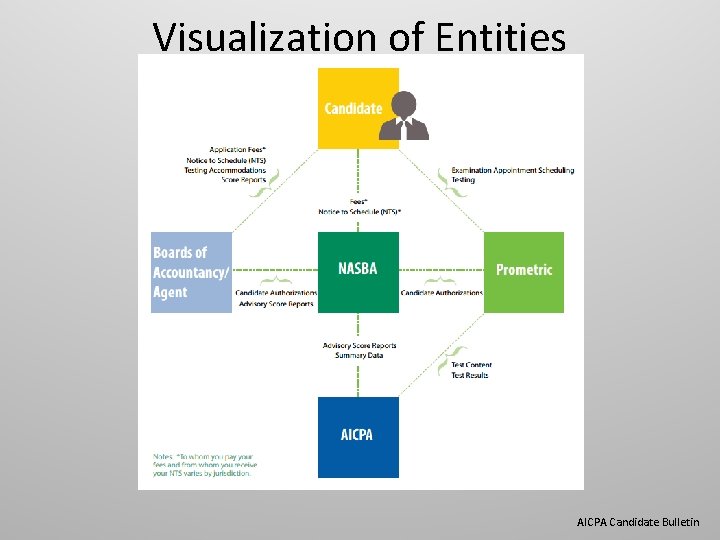 Visualization of Entities AICPA Candidate Bulletin 