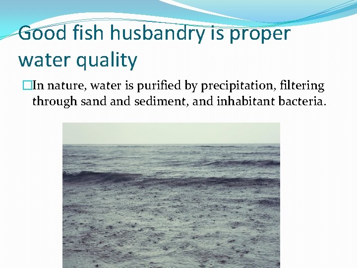 Good fish husbandry is proper water quality �In nature, water is purified by precipitation,