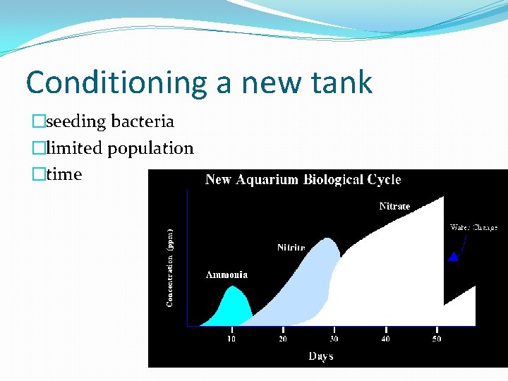 Conditioning a new tank �seeding bacteria �limited population �time 